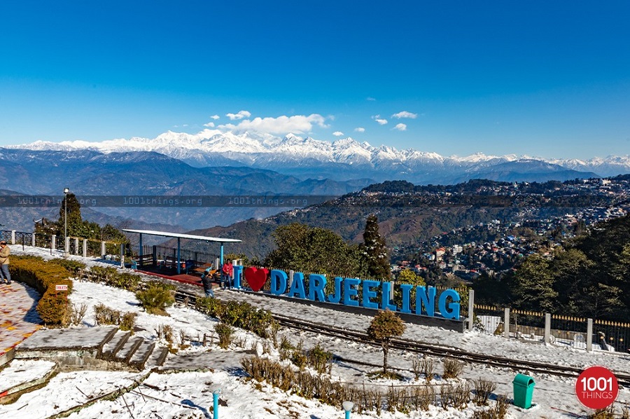 Darjeeling Tour