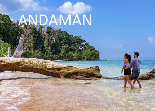 Dream Andaman  6N 7D